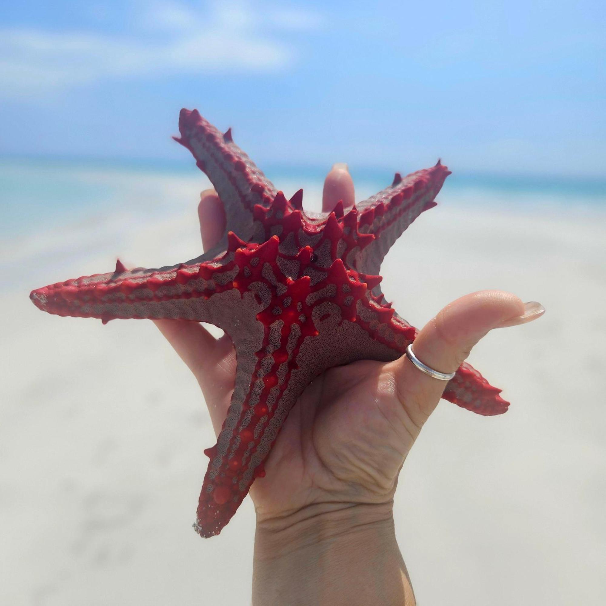 Maharaja Boutique Hotel Zanzibar Uroa Kültér fotó